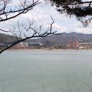 보문관광단지 Daum카페