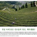 찻잎 속에 담은 선조들의 정신, 제다(製茶)