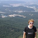 영챔피언태권도 이미지