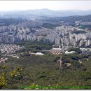 동백 죽전대로3-2 티스토리