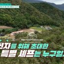 숲속통나무펜션 티스토리