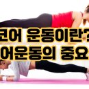 샾 피티 네이버블로그