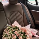 강남고속터미널 꽃 도매시장 후기