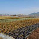 송가인공원 이미지