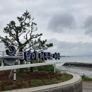 달이머무는바다 이미지