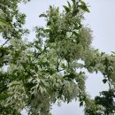 의령휴게소 이미지