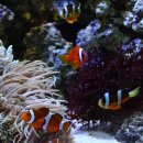 부산해양박물관 이미지