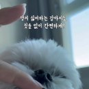 포우모카