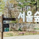 Bee HOTEL 이미지