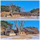 안경진정성 다산점 | 다산 정약용유적지 / 다산생태공원 (&#39;23.12.23)