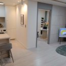 아델리아 이미지