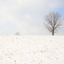 하얀 목장 이미지