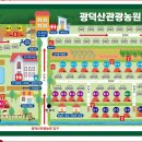 호두나무캠핑장 이미지