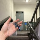 놀부보쌈족발 신정점 이미지