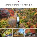 상록수카정비 | 2025년 지역별 단풍 절정시기 단풍 명소 총정리 알아보기