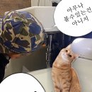 도촌남로 이미지