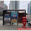 킨텍스튼튼본의원 이미지