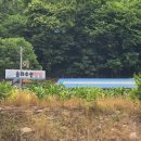 송화수산횟집
