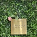 춘천우리한의원 | 춘천 후평동 피부관리 윤곽관리 맛집 연아랩스킨앤바디 재방문후기