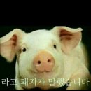 [ 멘탈 맛집 ] 북촌 이다 IDA 전메뉴 클리어 후기 | 내돈내산, 5차 방문, 티라미수 미쳤어