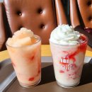 할리스 대전둔산청솔점 이미지