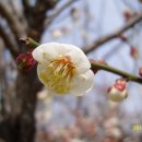 김해건설공업고등학교 이미지