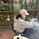 휘게 | 가을 캠핑 평창 애견동반 초보캠퍼의 휘게포레스트 C3 후기