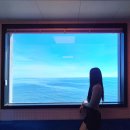 경주 감포트라제2 이미지