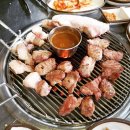 가야흑돼지