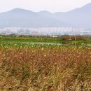 구사마을 이미지