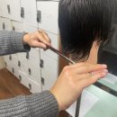 도봉-도봉-서울도봉-2444 이미지