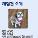 리인프리 이미지
