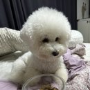 중덕돈가