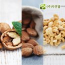 견과류 이미지