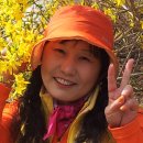 블루로드다리 Daum카페
