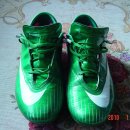 그린슈퍼 이미지