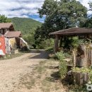 향초목원 이미지