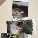 Chae hwa | [Wedding] 내돈내산 웨딩 스튜디오 촬영 후기