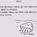 사장구매대행 이미지