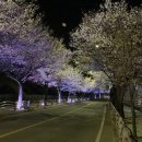 전곡읍-13 이미지