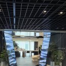 덴탈LED | 명동역 피부과 20대 올타이트 리프팅 효과 통증 내돈내산 후기