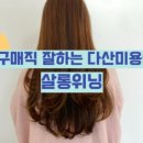 살롱위닝 이미지