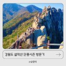 한화리조트(주)63점 | 강원도 설악산 단풍시즌 방문기 (주차후기)