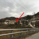 여주-1130 이미지