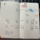 멍글몽글 | 6월 일상 : 늘어지게 먹고 놀았던 초여름 일상🌿, 다시 부지런해져야지