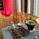 마야동물병원 | 6~7월 일상