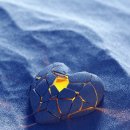 두려움을 제거하는 가장 빠른 방법 이미지