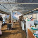 찬우농장 | 찬우물동물농장 체험후기