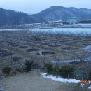 덕의농장 Daum카페