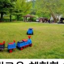 달빛고운 월성캠핑장 이미지